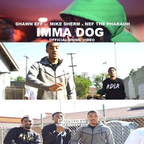 imma dog to lyrics|imma dog lyrics shawn eff.